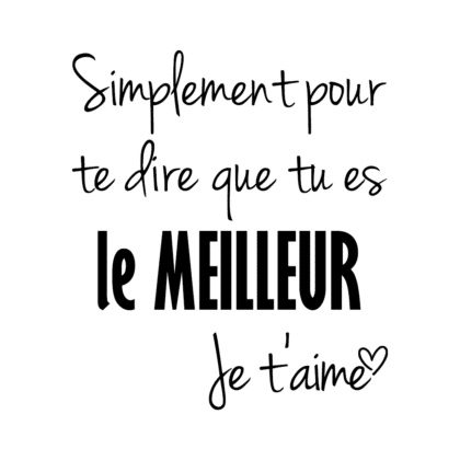 Simplement pour te dire que tu es LE meilleur